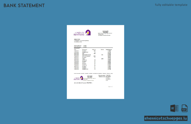Beispiel für einen Kontoauszug der Oman Bank Nizwa (Excel-Vorschau)